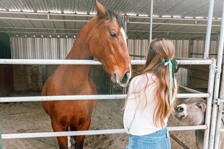 Bandy Canyon Ranch