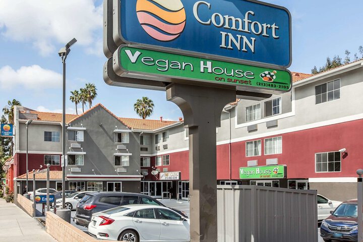 Hotel 4 of 40
