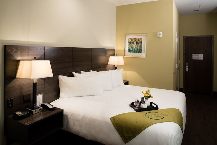 Malana Hotels & Suites