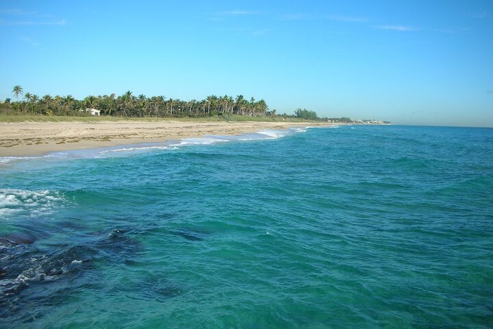 Casa Costa 405n 1 Bedroom Pools, Jacuzzi, Beach, Shops & Dog Friendly