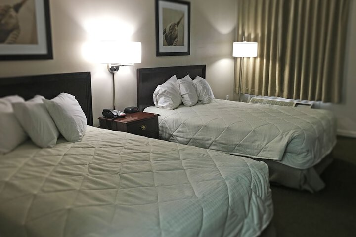 Room 11 of 20