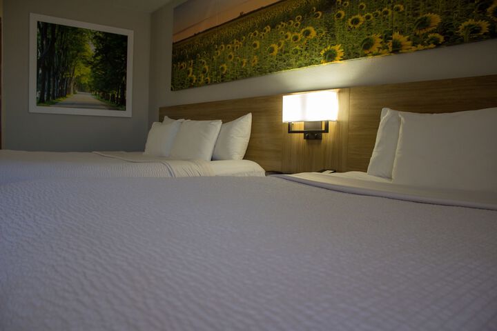 Room 35 of 40