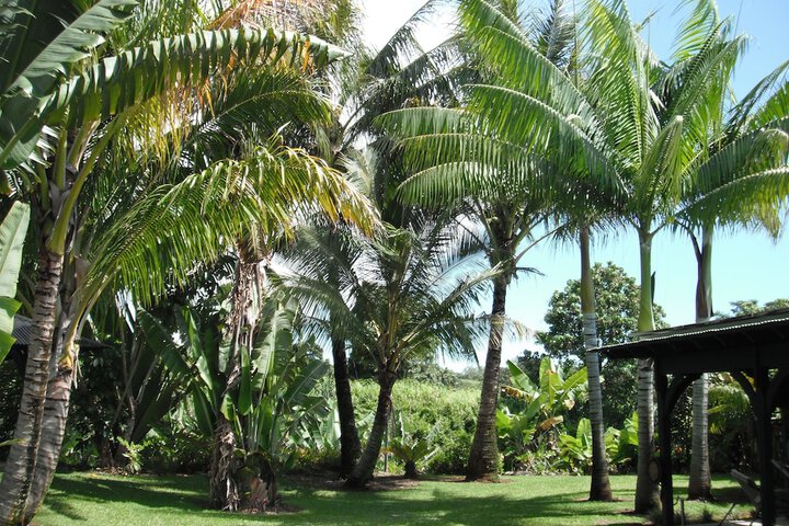 Island Goodes - Luxury Adults Only Accommodation