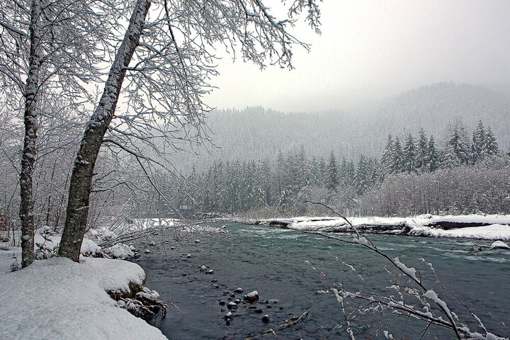 Four Stone Lodge Near Mt. Rainier
