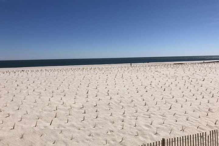 Beach 43 of 44