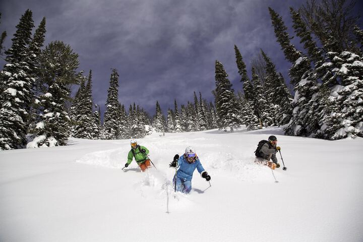 Hotel Terra Jackson Hole - a Noble House Resort