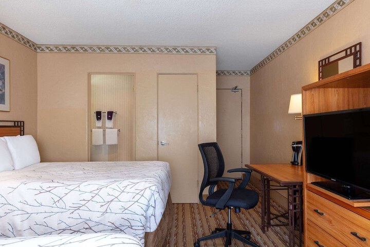 Room 17 of 49