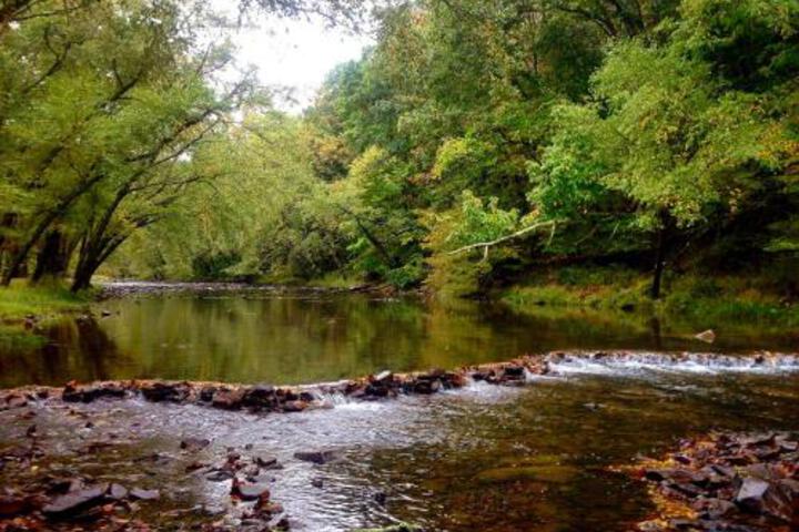 Knapps Creek Trout Lodge