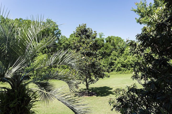 Property Grounds 21 of 21