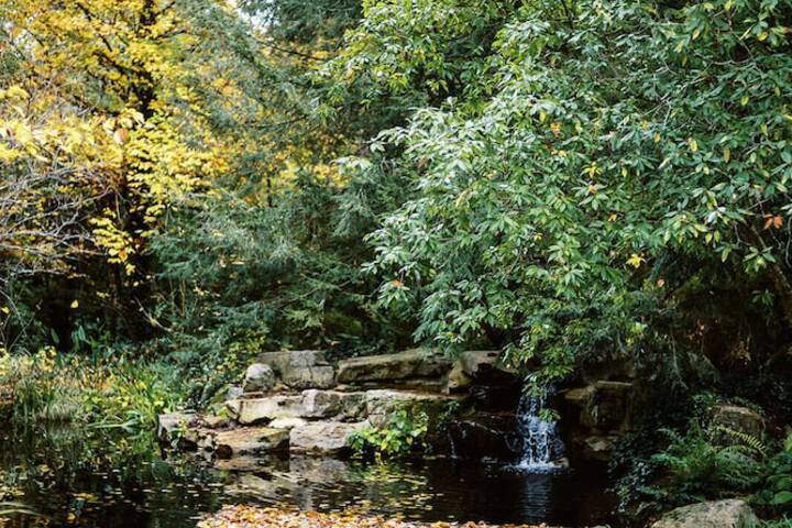 Property Grounds 20 of 21