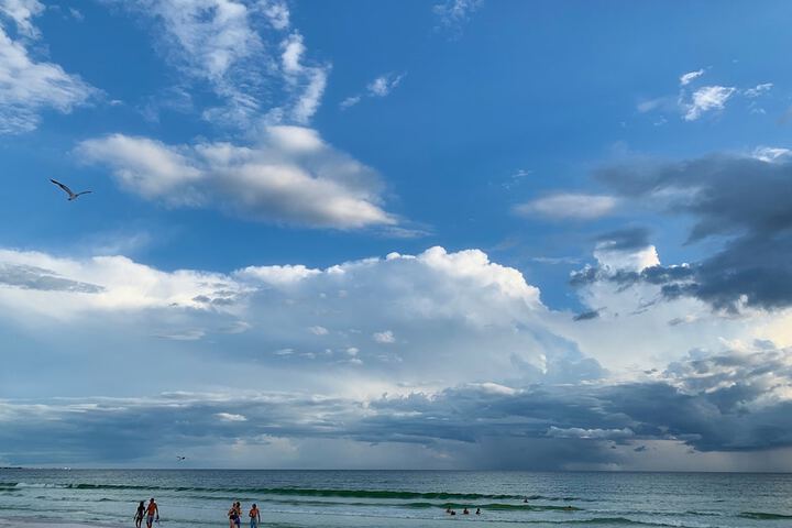 Casey Key Resorts - Beachfront