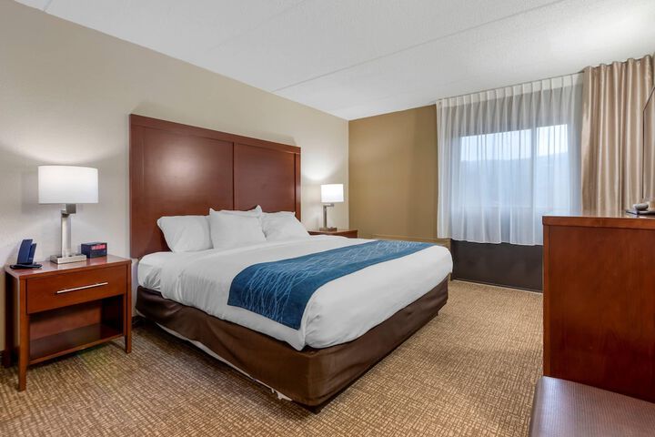 Comfort Inn Binghamton I-81