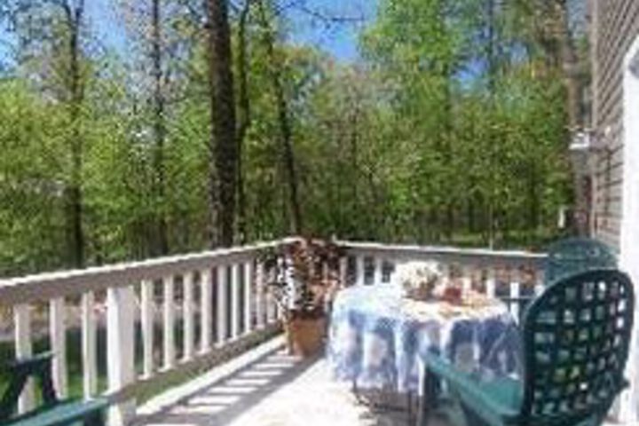 Tree Top Bed & Breakfast