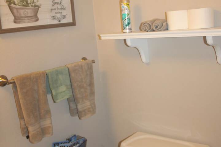 DeLand Florida Vacation Home