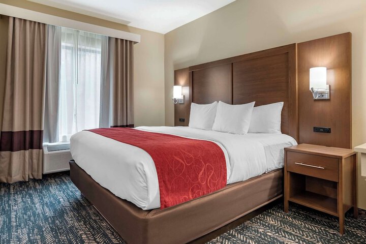 Comfort Inn & Suites Downtown near University