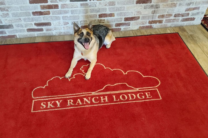 Pet Friendly 87 of 104