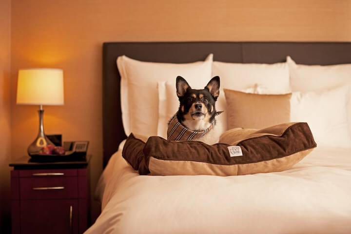 Pet Friendly 148 of 148