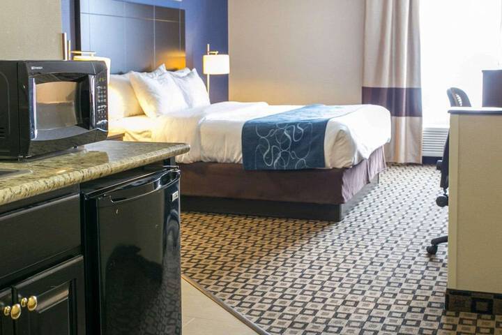 Comfort Suites Benton Harbor - St. Joseph