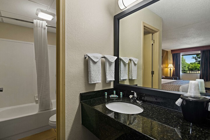Best Western Windsor Suites