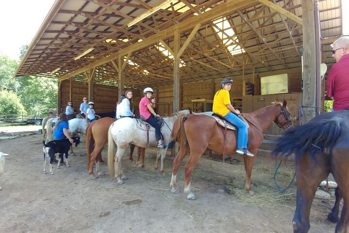 Arrowmont Stables & Cabins