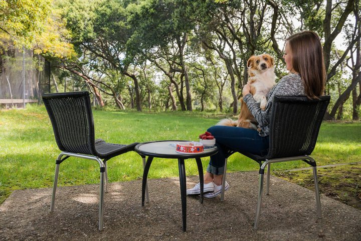 Pet Friendly 90 of 98