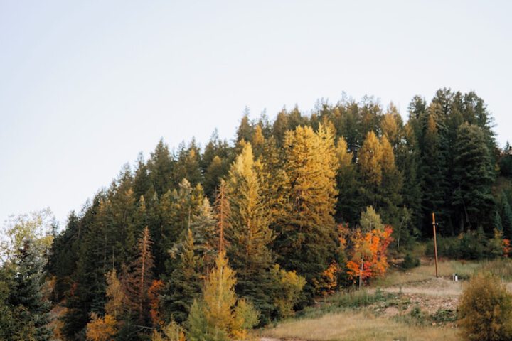 Sundance Mountain Resort