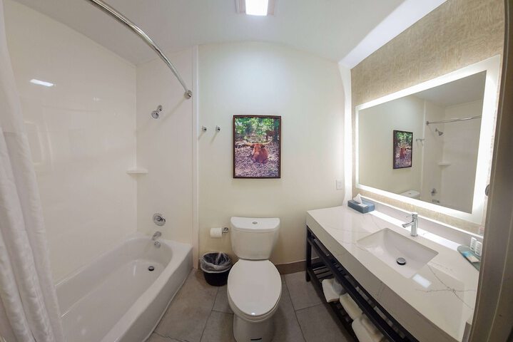 La Quinta Inn & Suites by Wyndham Dallas Mesquite