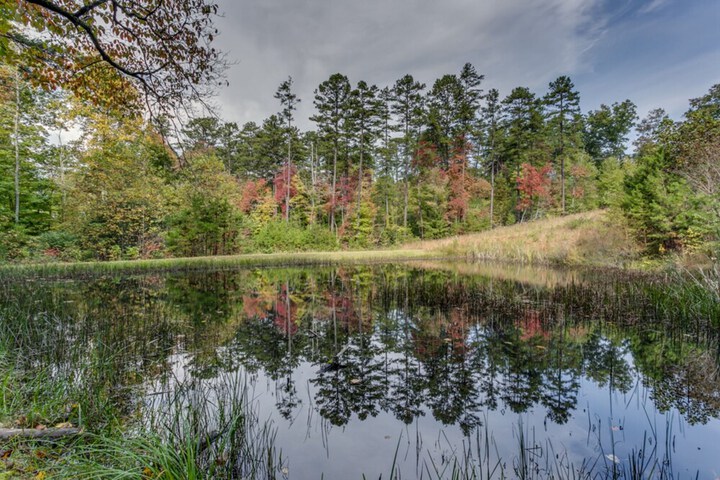 On Golden Pond