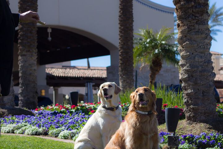 Fairmont Scottsdale Princess