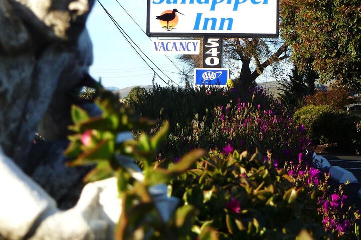Hotel 4 of 37