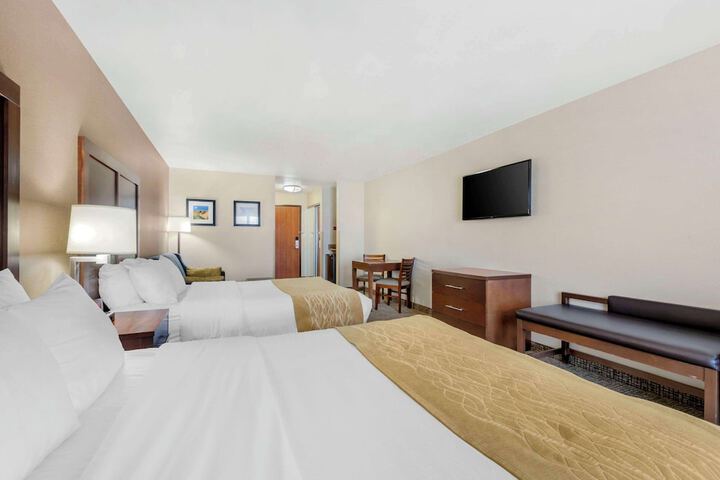Comfort Inn & Suites Mitchell I-90