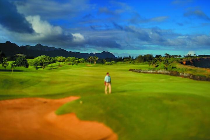 Grand Hyatt Kauai Resort and Spa