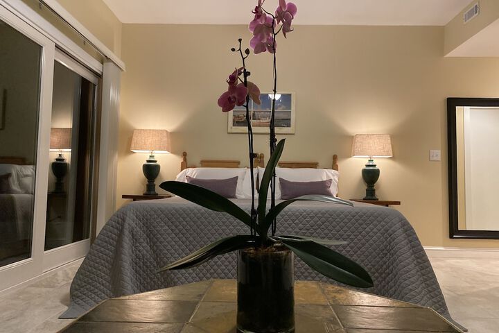 Room 30 of 49