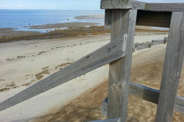 Beach 42 of 44