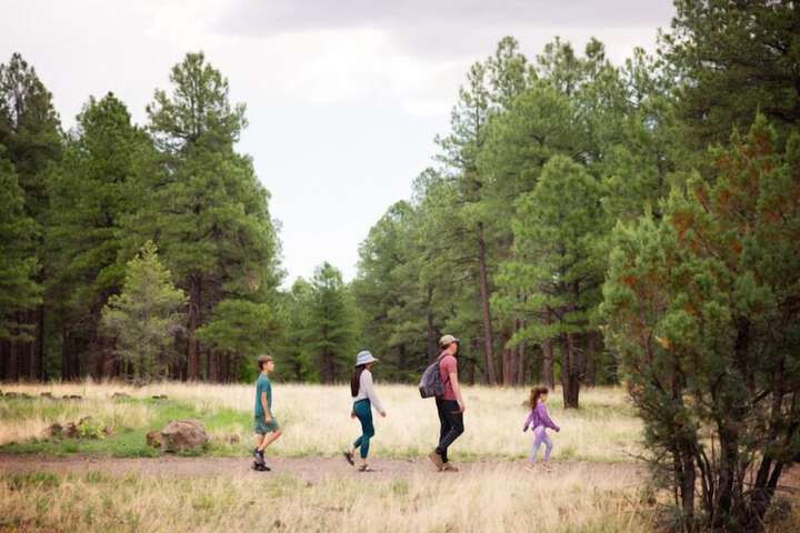 Little America Flagstaff