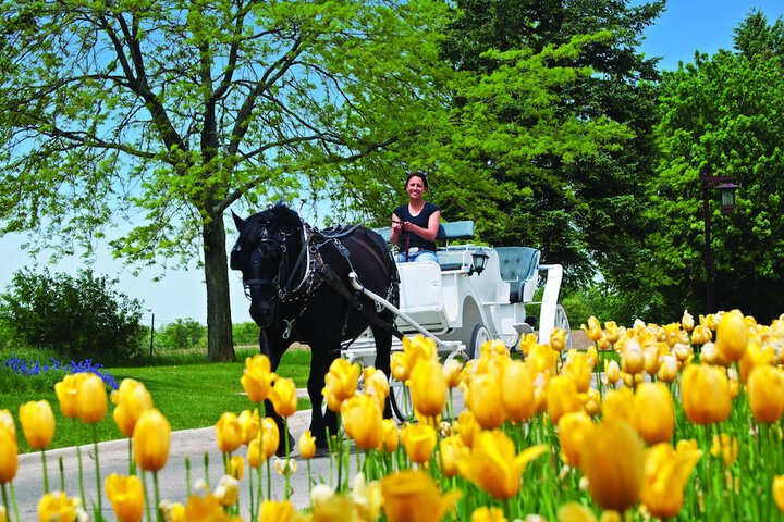 Holiday Inn Club Vacations at Lake Geneva Resort by IHG
