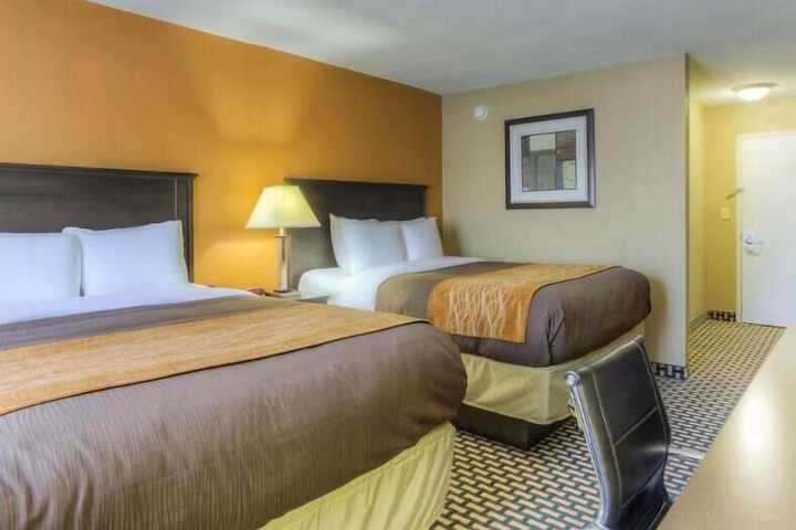 Room 4 of 31