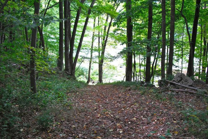 Property Grounds 36 of 37