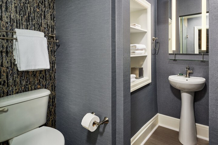 Hotel Alex Johnson Rapid City Curio Collection by Hilton