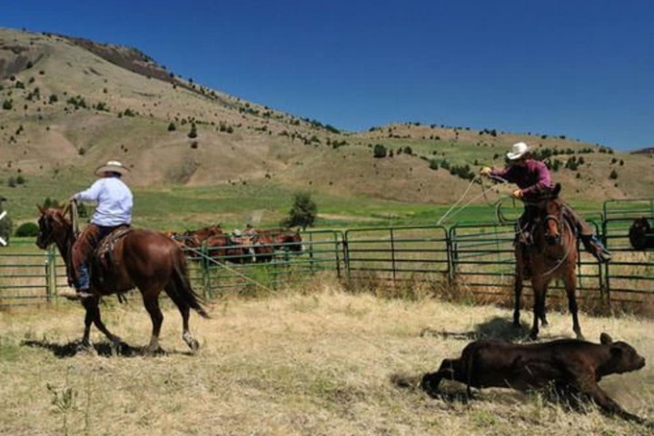 Wilson Ranches Retreat