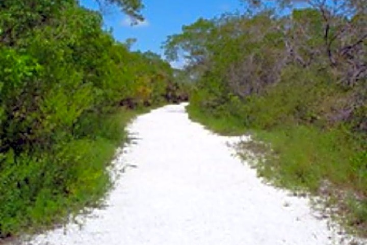 Tropical Winds Motel & Cottages