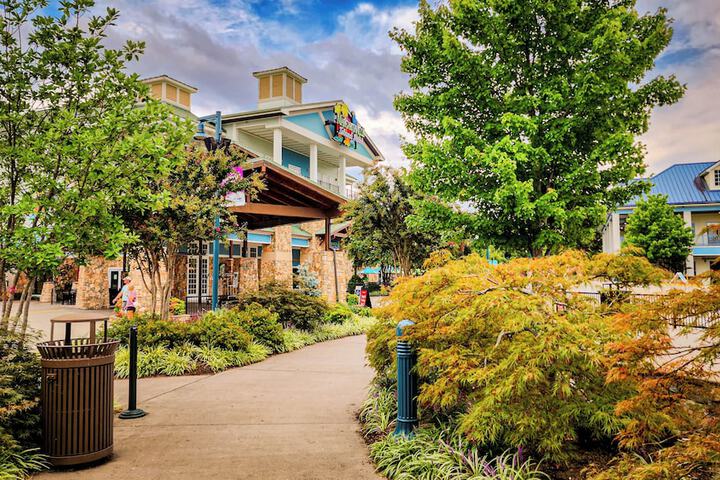 Margaritaville Island Hotel