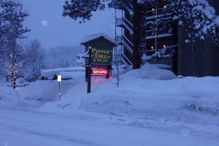 Pepper Tree Inn