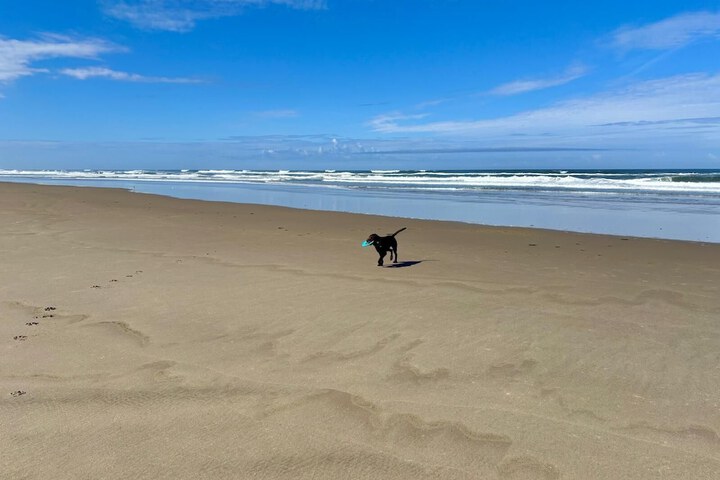 Tillicum Beach Motel (Deanes Oceanfront Lodge)