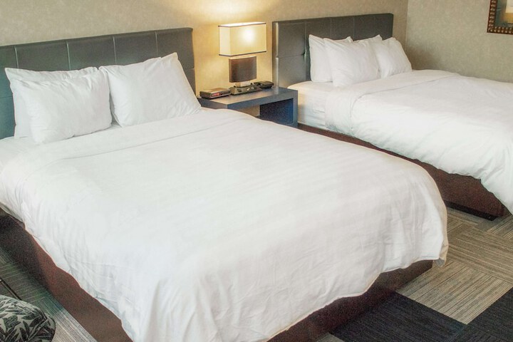 The Rushmore Hotel & Suites BW Premier Collection