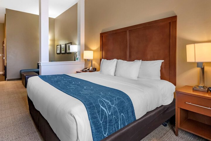 Comfort Suites Airport - University