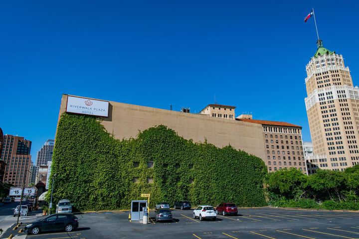 Hotel 12 of 250