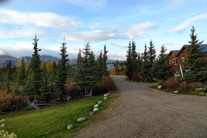 Denalis Alaskan Spruce Cabins