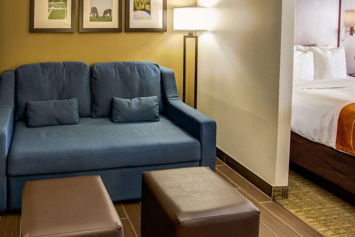 Comfort Suites Georgetown