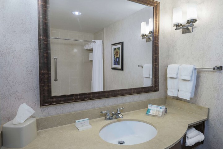 Hilton Garden Inn San Antonio at the Rim